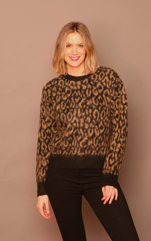 LEMAILLE U